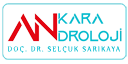 Selçuk Sarıkaya